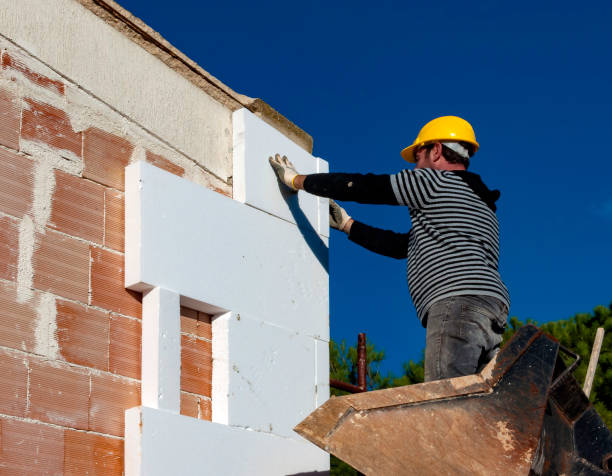 Best Insulation Maintenance and Repair in Union Park, FL