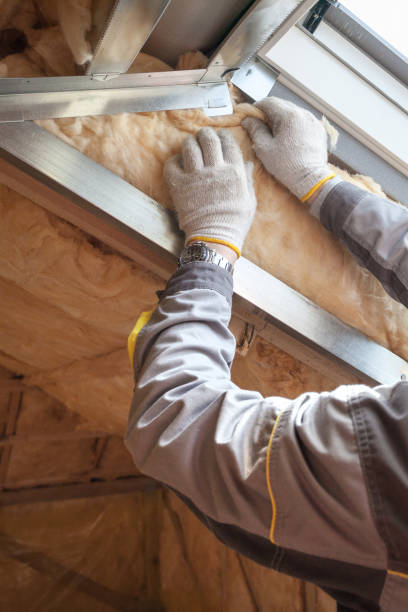 Types of Insulation We Offer in Union Park, FL