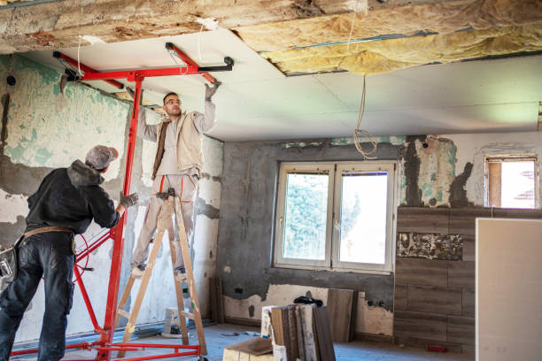 Best Commercial Insulation in Union Park, FL