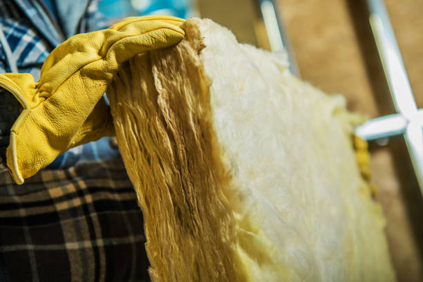Best Energy Efficiency Insulation in Union Park, FL