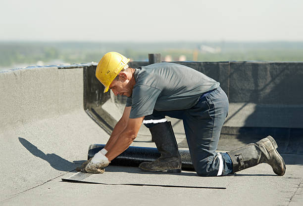 Best Fiberglass Insulation in Union Park, FL