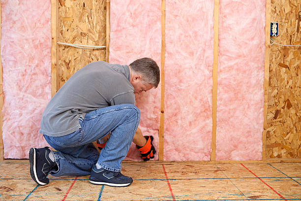 Best Residential Insulation in Union Park, FL